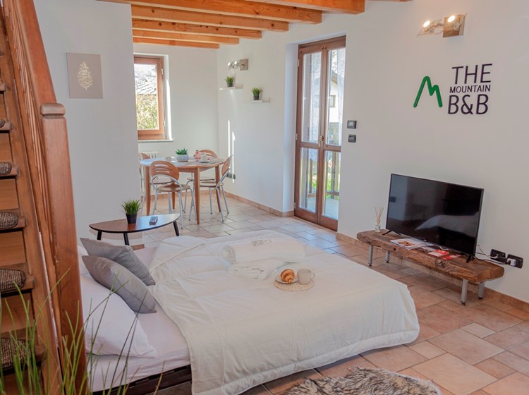 The Mountain B&B -  divano letto
