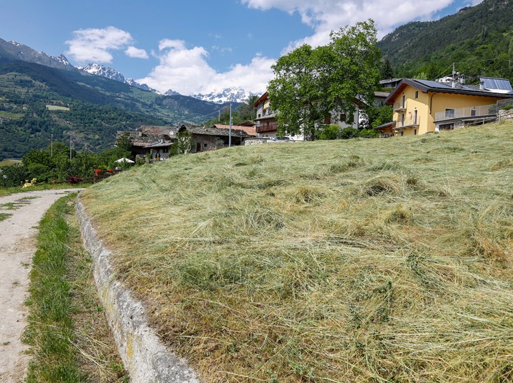 sentiero lungo il canale Ru Pompillard a Roisan