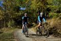 Italy-cycling Alps