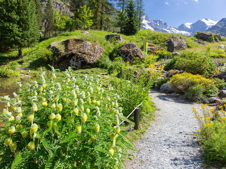 Jardin botanique alpin Paradisia