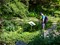 Paradisia alpine botanical Garden