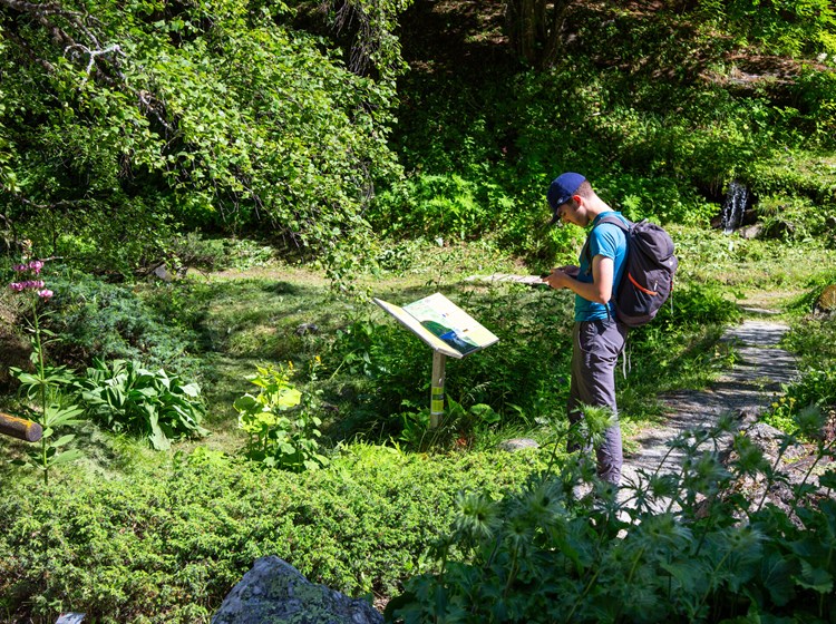 Jardin botanique alpin Paradisia
