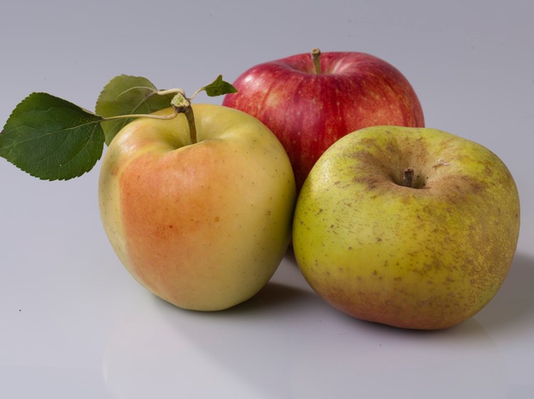 Apples from the Aosta Valley (renetta, golden delicious and starking)