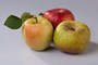 Pommes de la Vallée d'Aoste (reinette, golden delicious et starking)