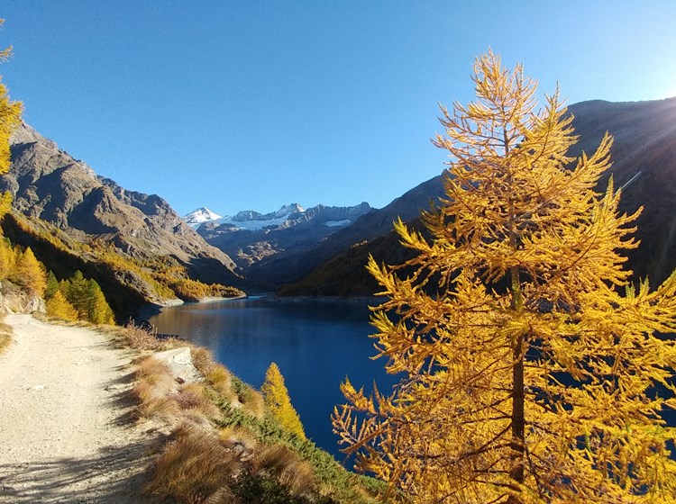 Sentiero lungo il lago di Place Moulin in autunno