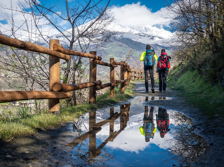 Ru Champapon - Porossan