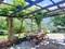 the pergola