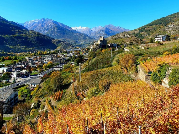 Vue sur les vignobles et le château de Saint-Pierre