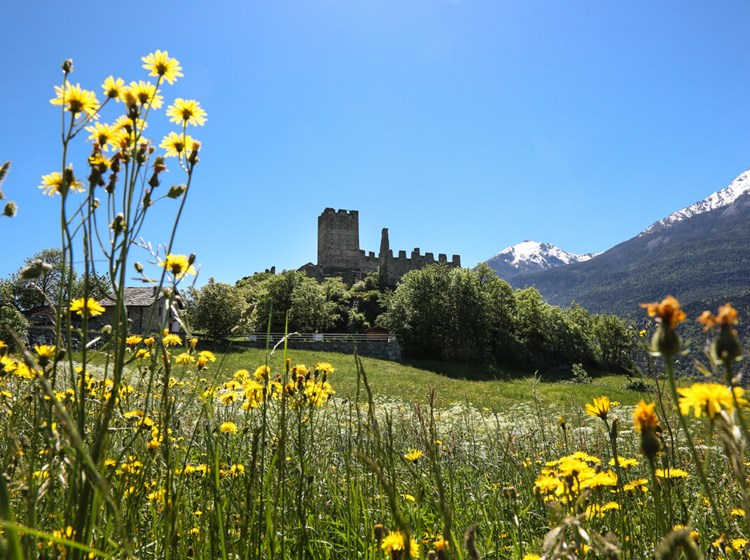 Castello di Cly - Saint-Denis