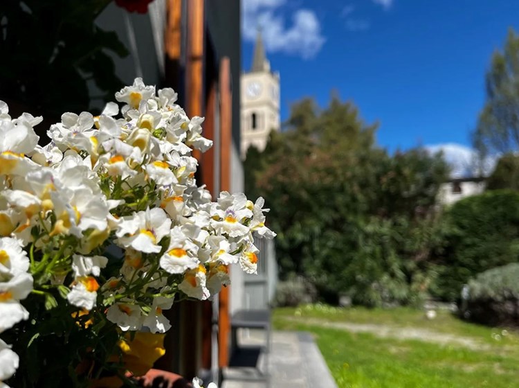 B&B Il Pellegrino -  The Garden