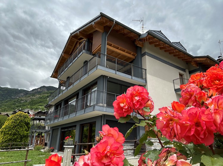 Verger Plein Soleil - L'extérieur en été