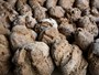 Bread baked in the village oven
