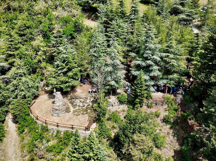 Arboretum Vescoz