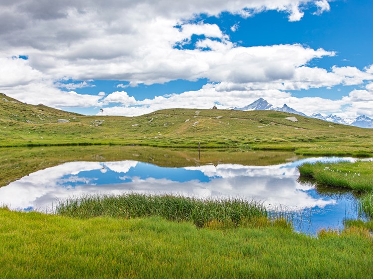 lago delle rane / lac des grenouilles