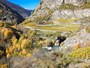 Vigneti in autunno