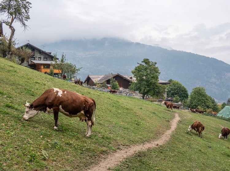 Agriturismo La Clochette - Esterno Panorama