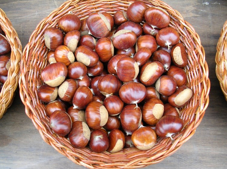 Castagne