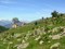 Alpage
