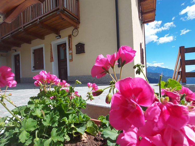 Mes Vallées Trognon - Extérieur été