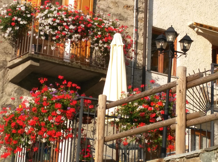 B&B Maison Vallomy - Extérieur en été