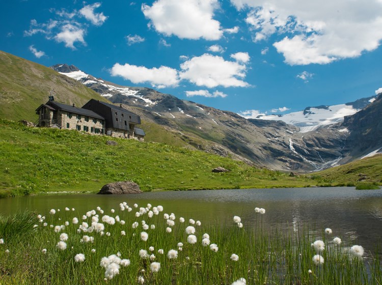 Mario Bezzi Mountain Hut – eriofora in bloom on the banks of the pond