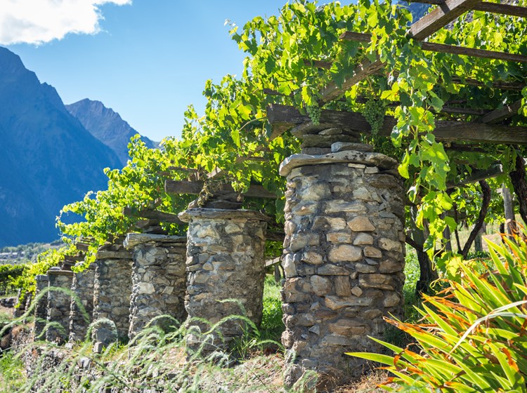 Vigneti di Morgex